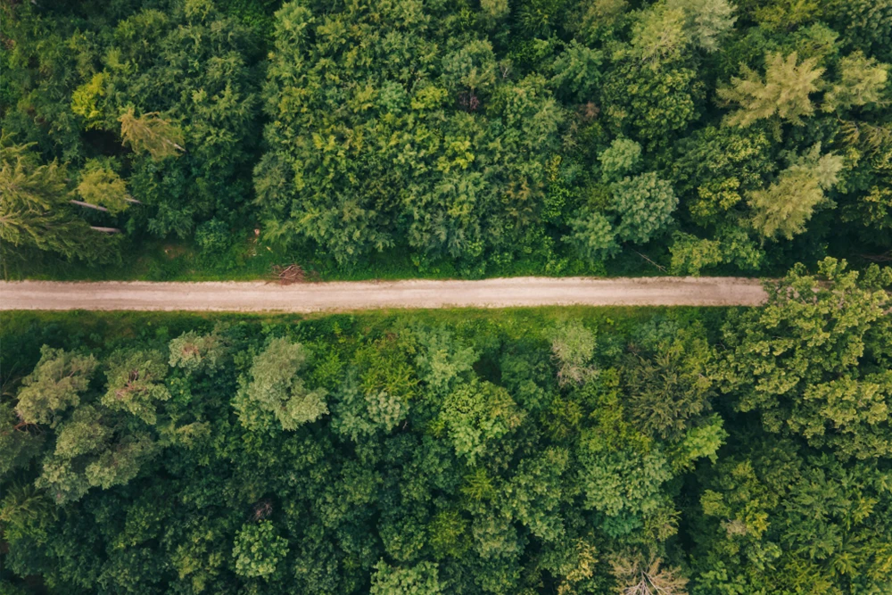 Photo aérienne d'une route en forêt, illustrant un endroit où Pseudo-bois pourrait effectuer un déboisement de parcelle à bâtir